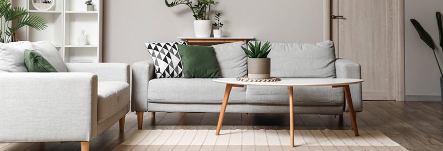 Canapés scandinaves