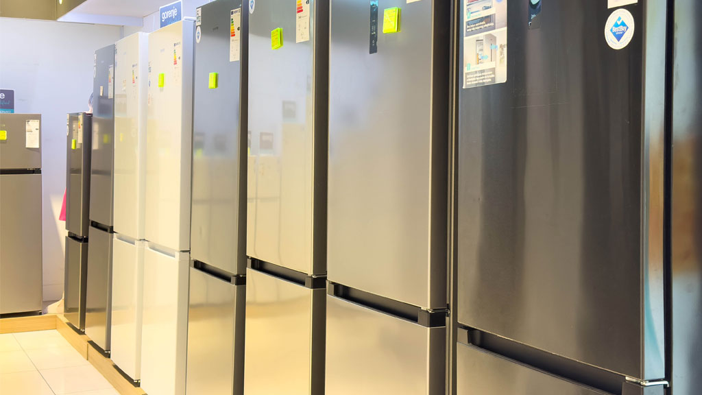 Personne comparant les étiquettes énergie de réfrigérateurs en magasin